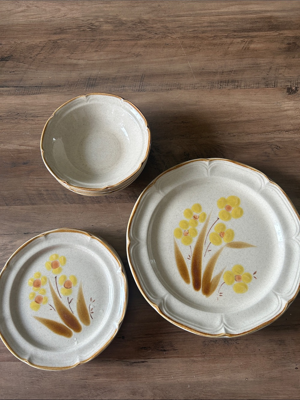 Hearthside Classics Wellington Hand painted Stoneware Dinnerware set of 9 pcs - Picture 4 of 5
